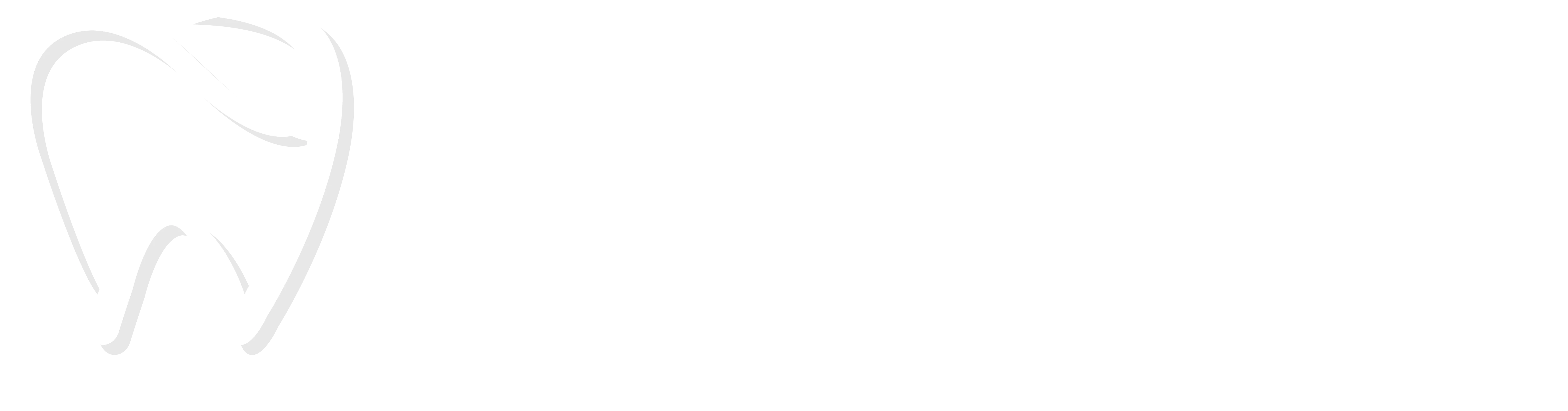 Dentist in Perrysburg